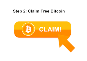 Step 2: Claim Your First Free Bitcoin Instantly on FreeBitco.in Hourly Roll